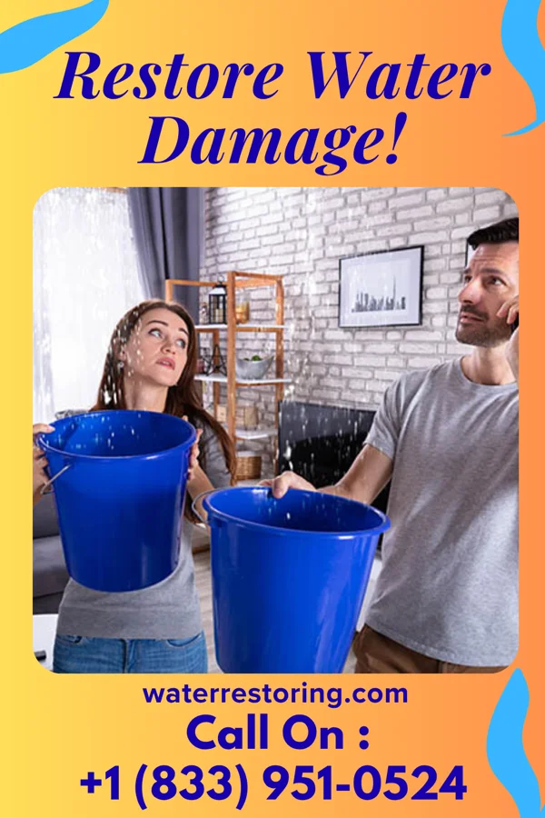 water restoration Lightning Water Cleanup Specialists Ray